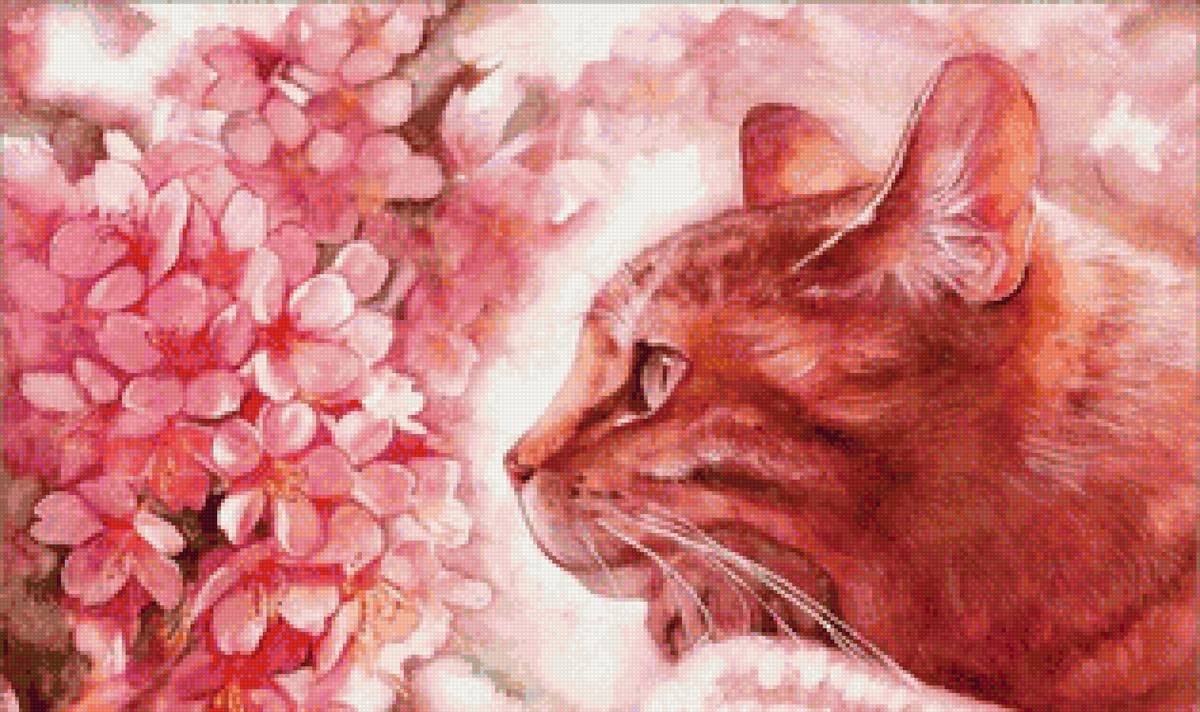 Мыслитель - кот, весна, цветы - предпросмотр