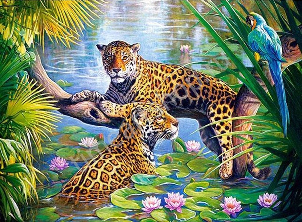 леопарды в джунглях - оригинал