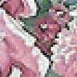 Предпросмотр схемы вышивки «цветы» (№1802917)