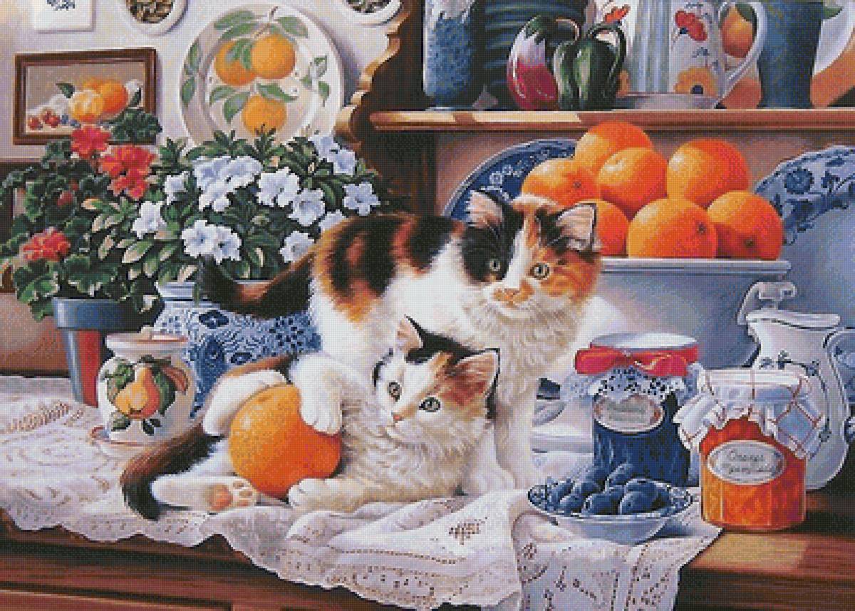 котята - котята - предпросмотр