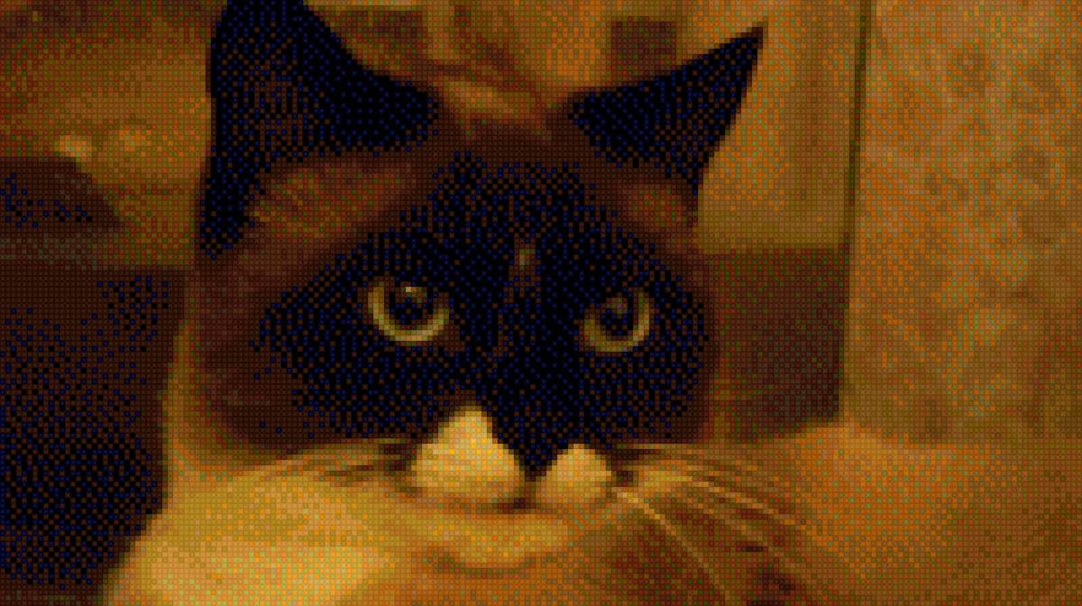 Кот - предпросмотр