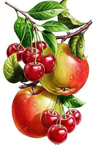 яблоки и черешня - яблоки черешня - оригинал