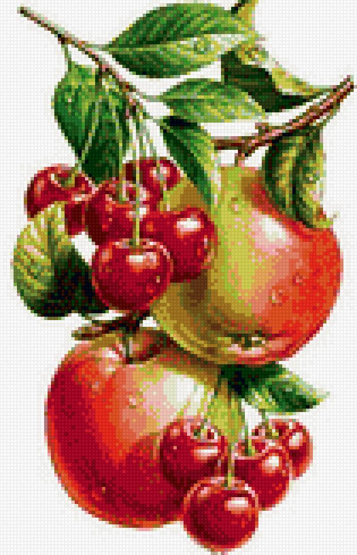 яблоки и черешня - яблоки черешня - предпросмотр