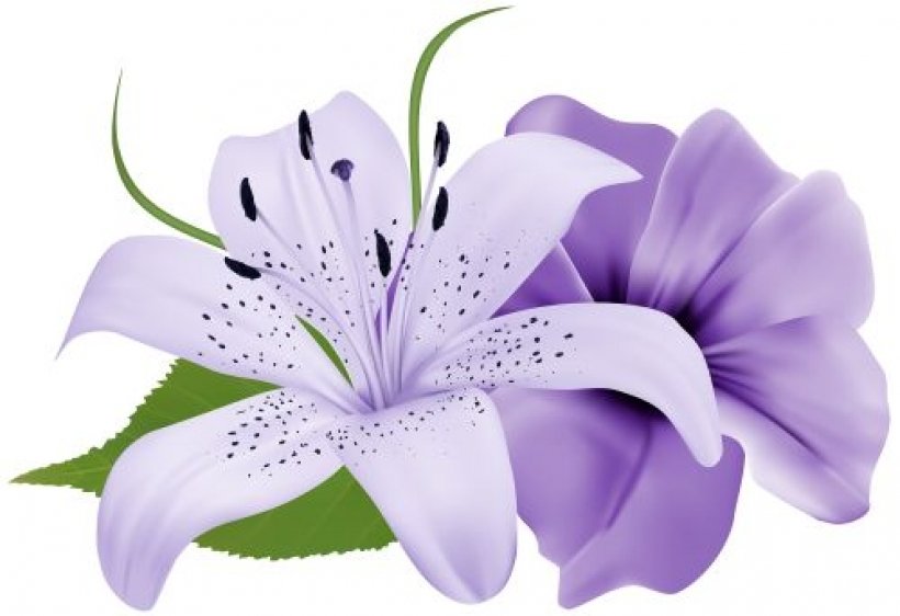 Лилии - цветы - оригинал