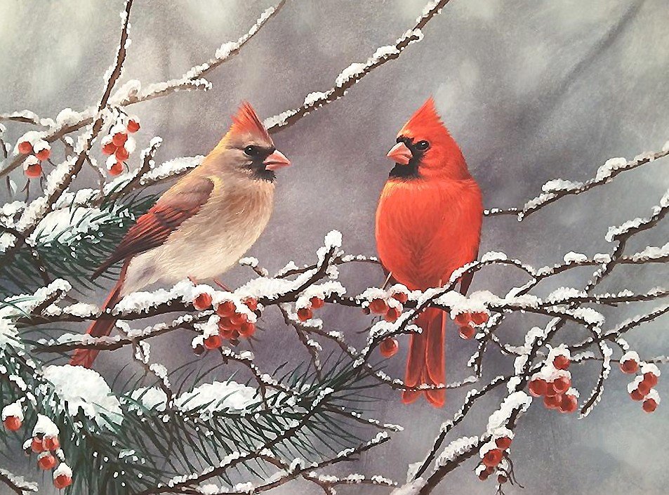 зима - зима, птицы - оригинал