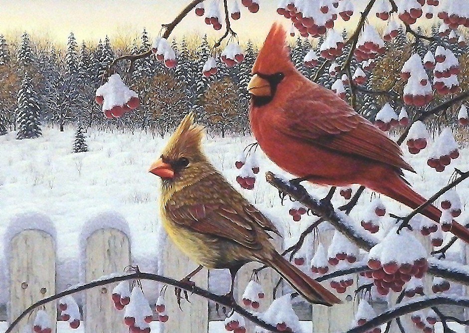 зима - зима, птицы - оригинал