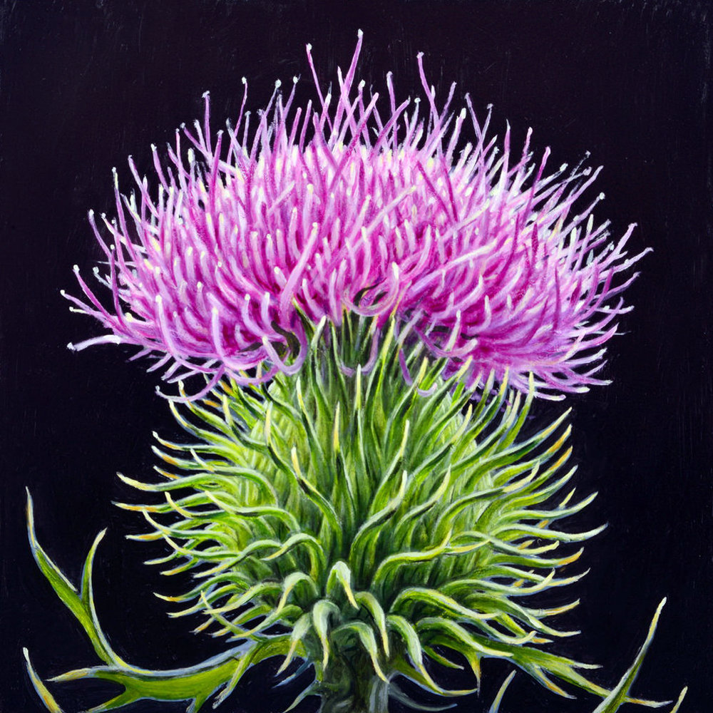 растение - картина - оригинал