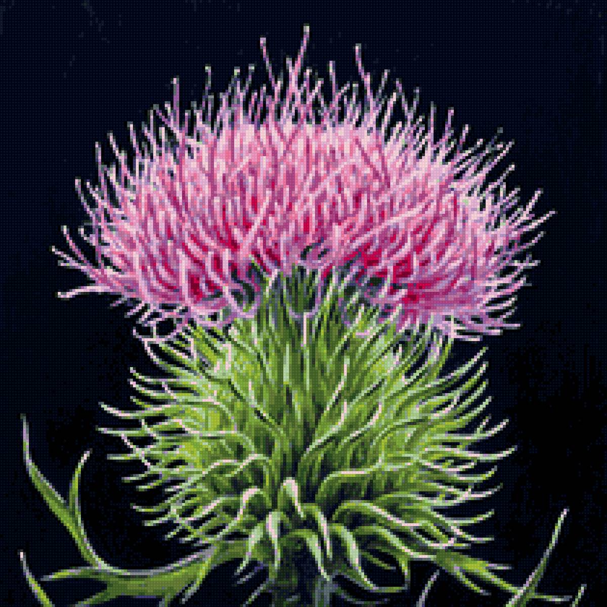 растение - картина - предпросмотр