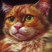 Схема вышивки «котик»