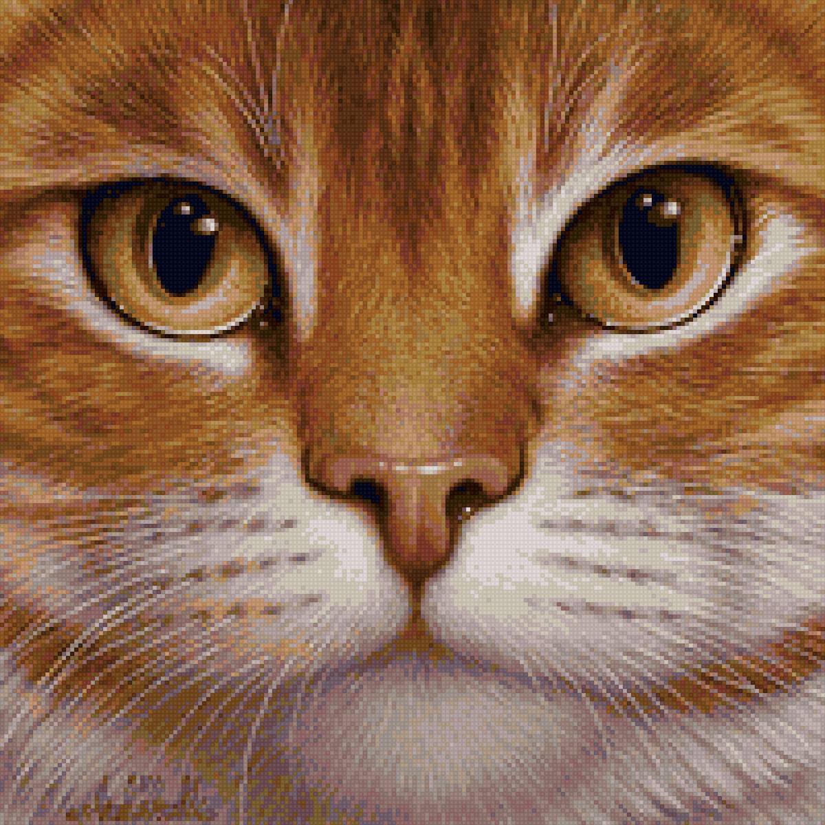 котик - кот - предпросмотр