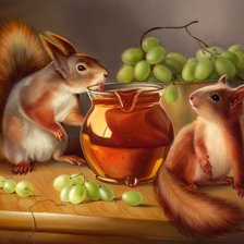 Схема вышивки «белки»