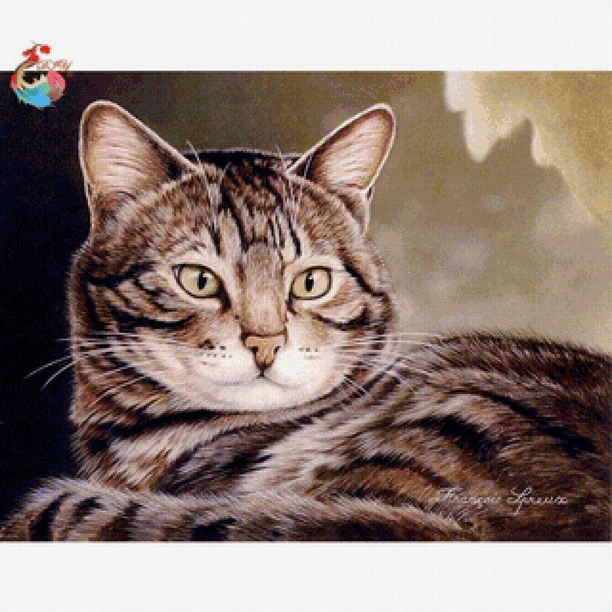 котик - кот, кошка, котята - предпросмотр