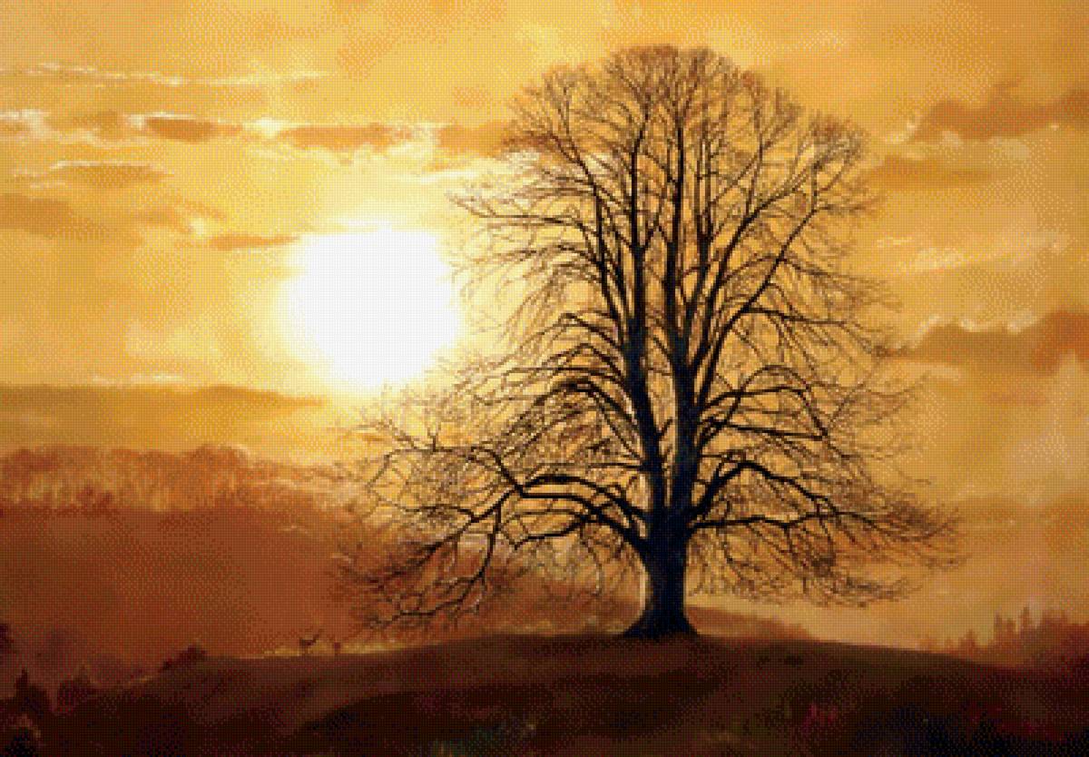 №1804652 - предпросмотр