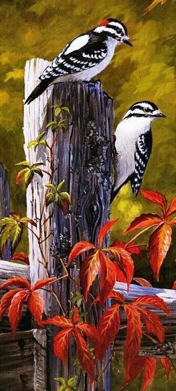 Серия "Птицы" - птицы, дятлы - оригинал