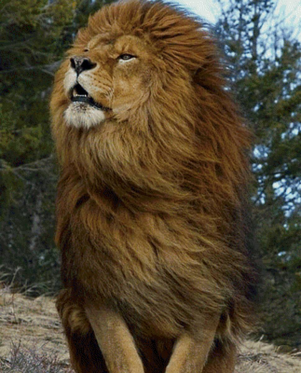 418 - предпросмотр