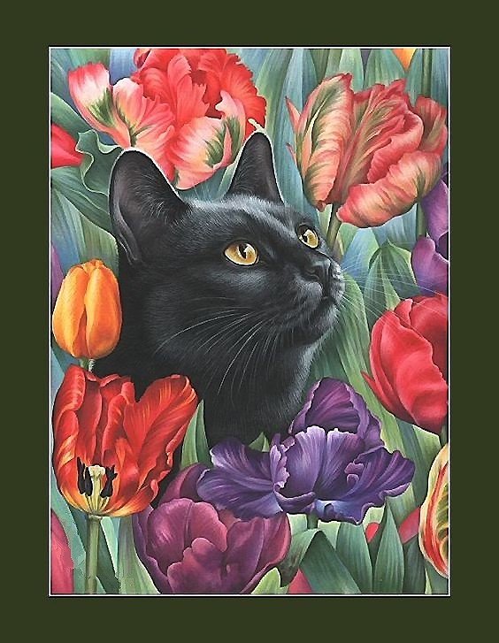 кот - кот - оригинал