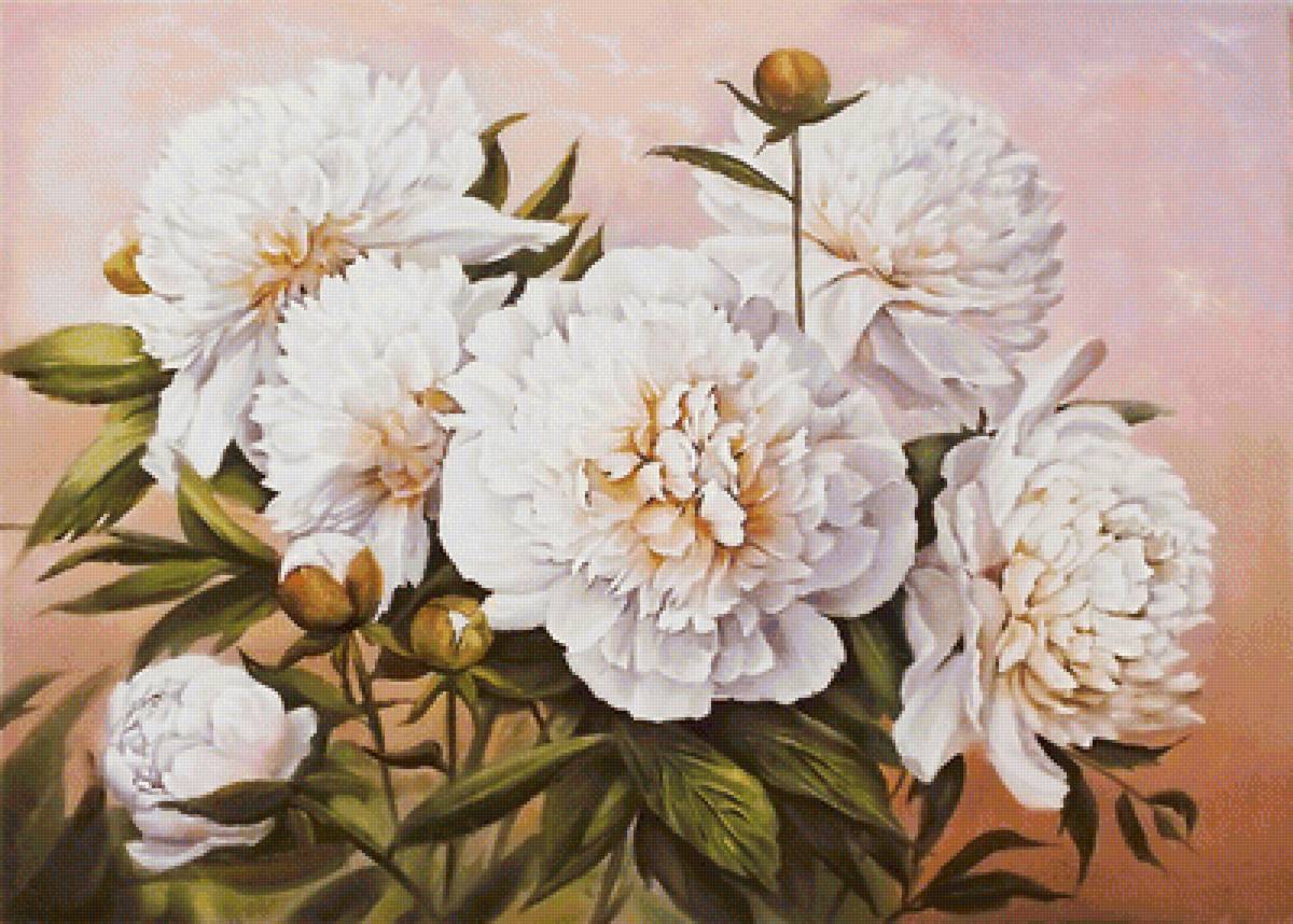 Серия "Пионы" - пионы, флора, цветы - предпросмотр