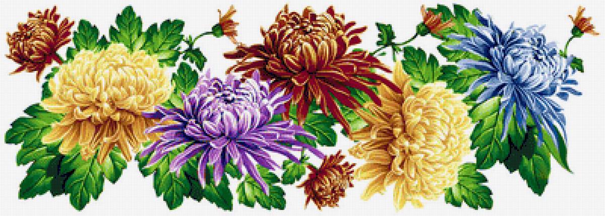 Астры - панелька, цветы - предпросмотр