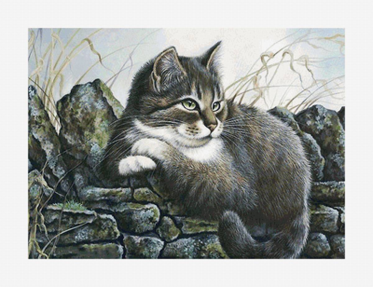 Серия "Коты". - коты, животные - предпросмотр