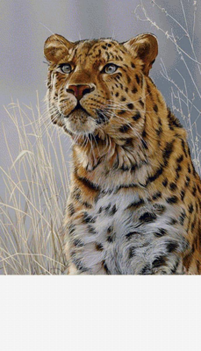 Ягуар - животные, звери - предпросмотр