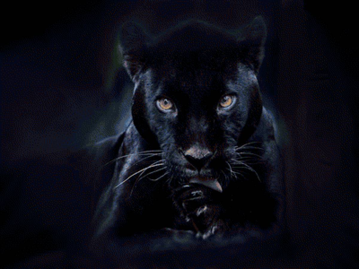 №1805715 - предпросмотр