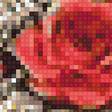 Предпросмотр схемы вышивки «красные розы на окне» (№1805748)