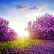 Схема вышивки «Природа 10»