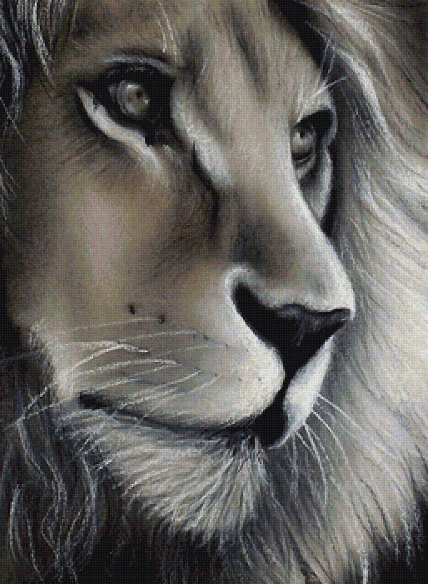 рисунок - предпросмотр