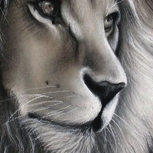 Схема вышивки «рисунок»