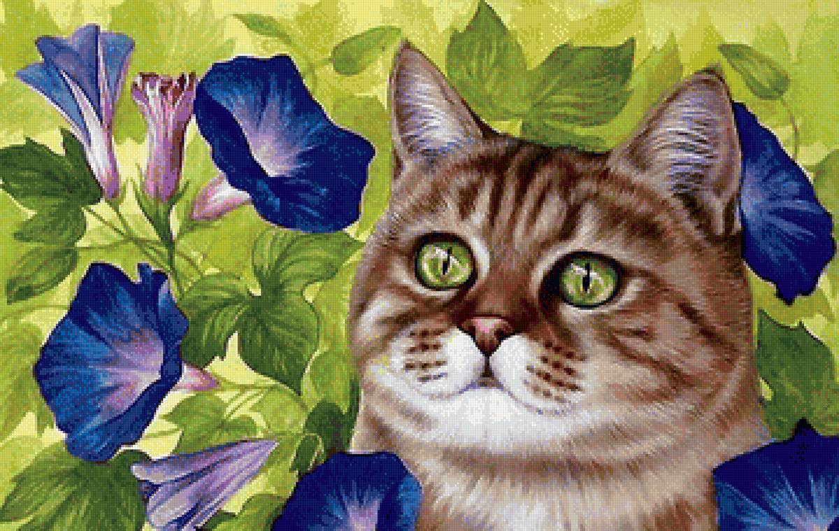 кот - кот - предпросмотр