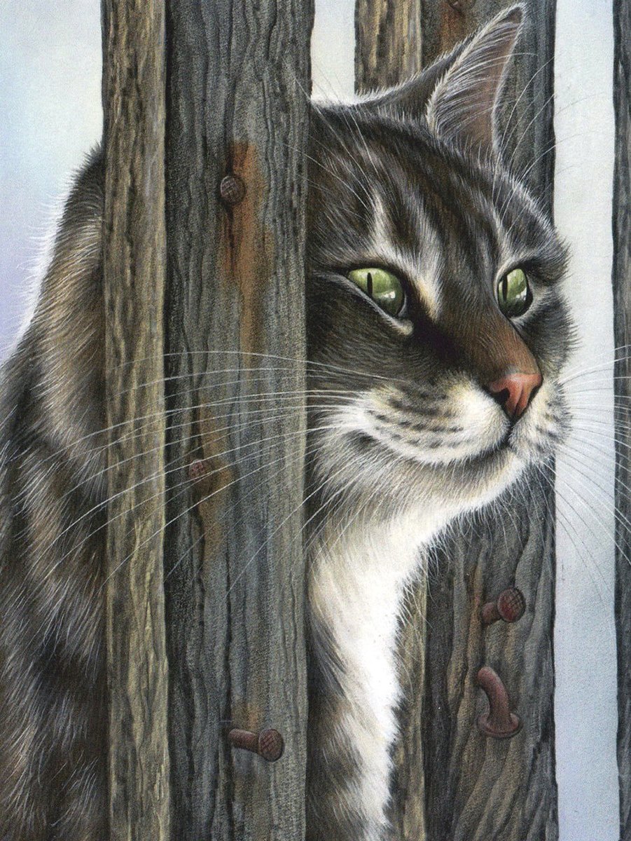 кот - кот - оригинал