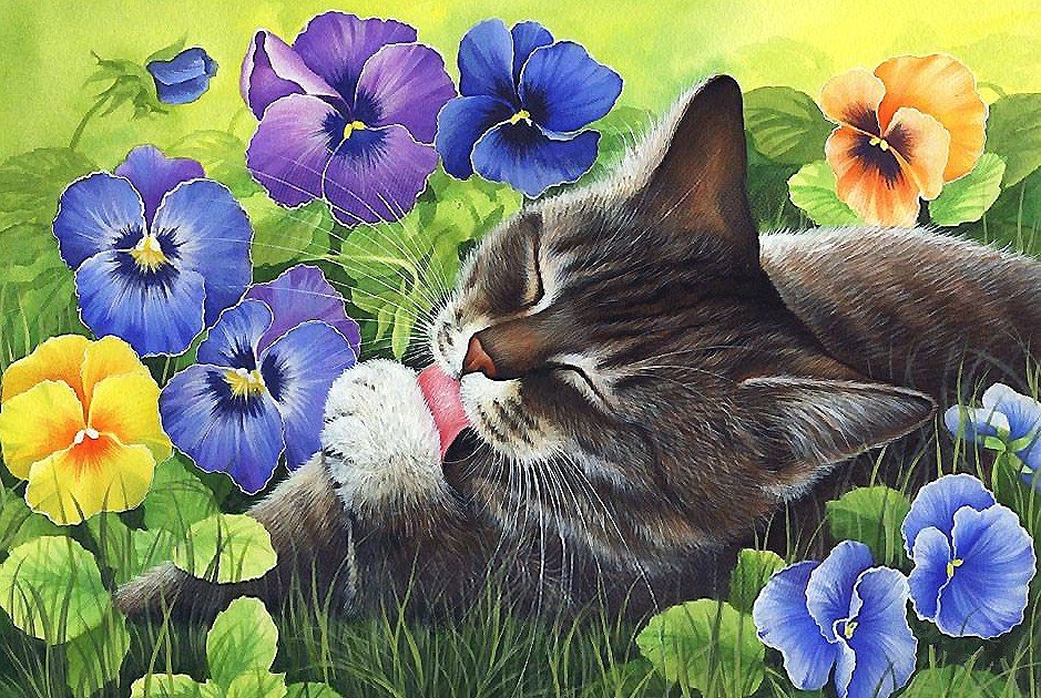 кот - кот - оригинал