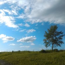 Схема вышивки «tree»