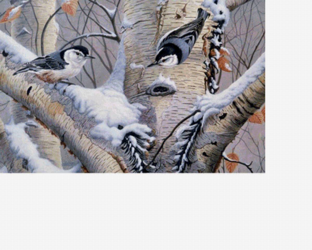 Птицы зимой - береза, птицы, зима, снег - предпросмотр