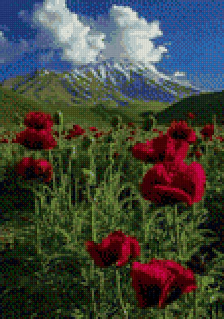 Горные маки - горы, маки, трава, небо.облака - предпросмотр