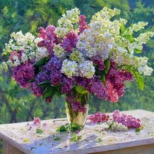 Схема вышивки «сирень»