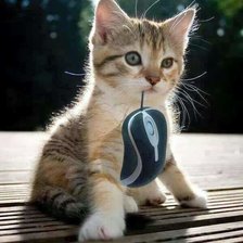 Схема вышивки «Котёнок и мыш»