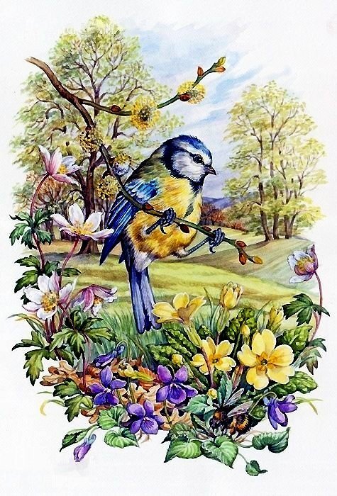 jar - оригинал