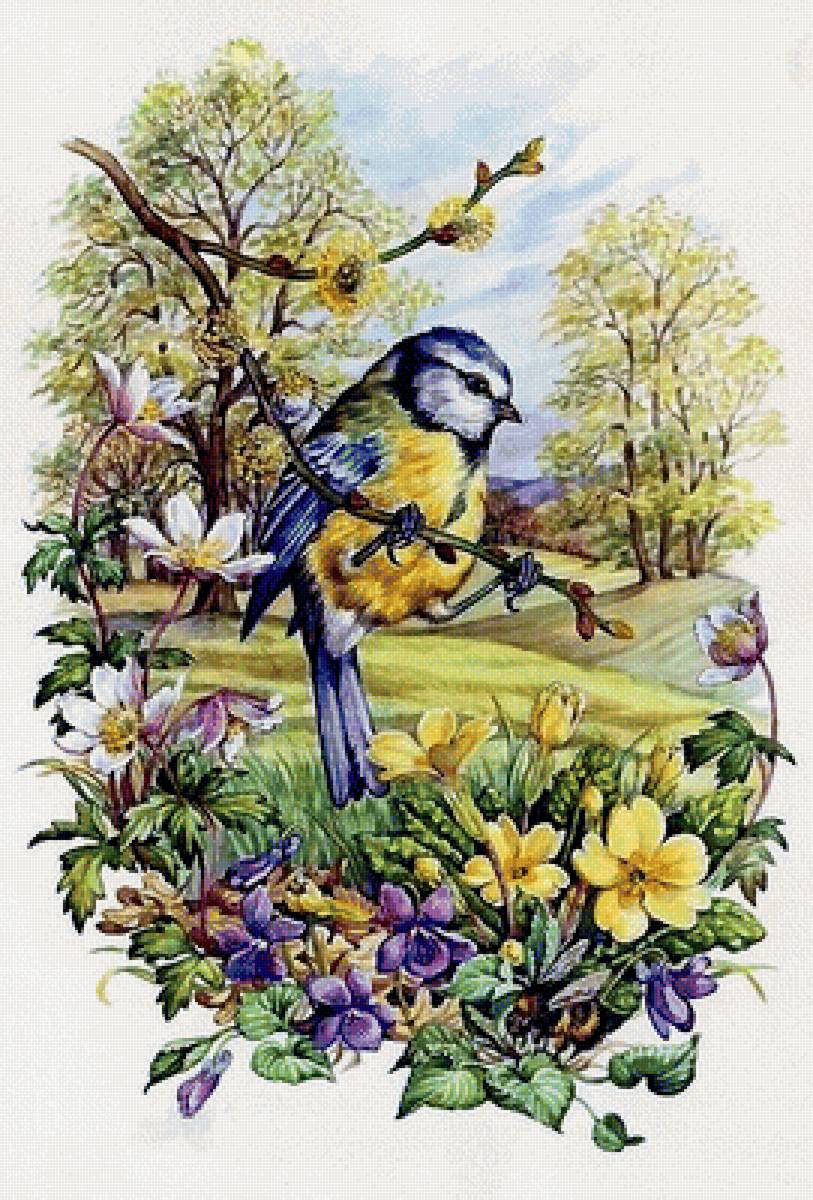 jar - предпросмотр