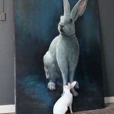 Схема вышивки «Konijn»