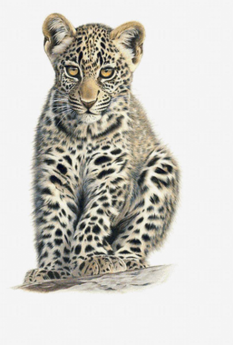 Серия "Хищники". - животные, хищники - предпросмотр