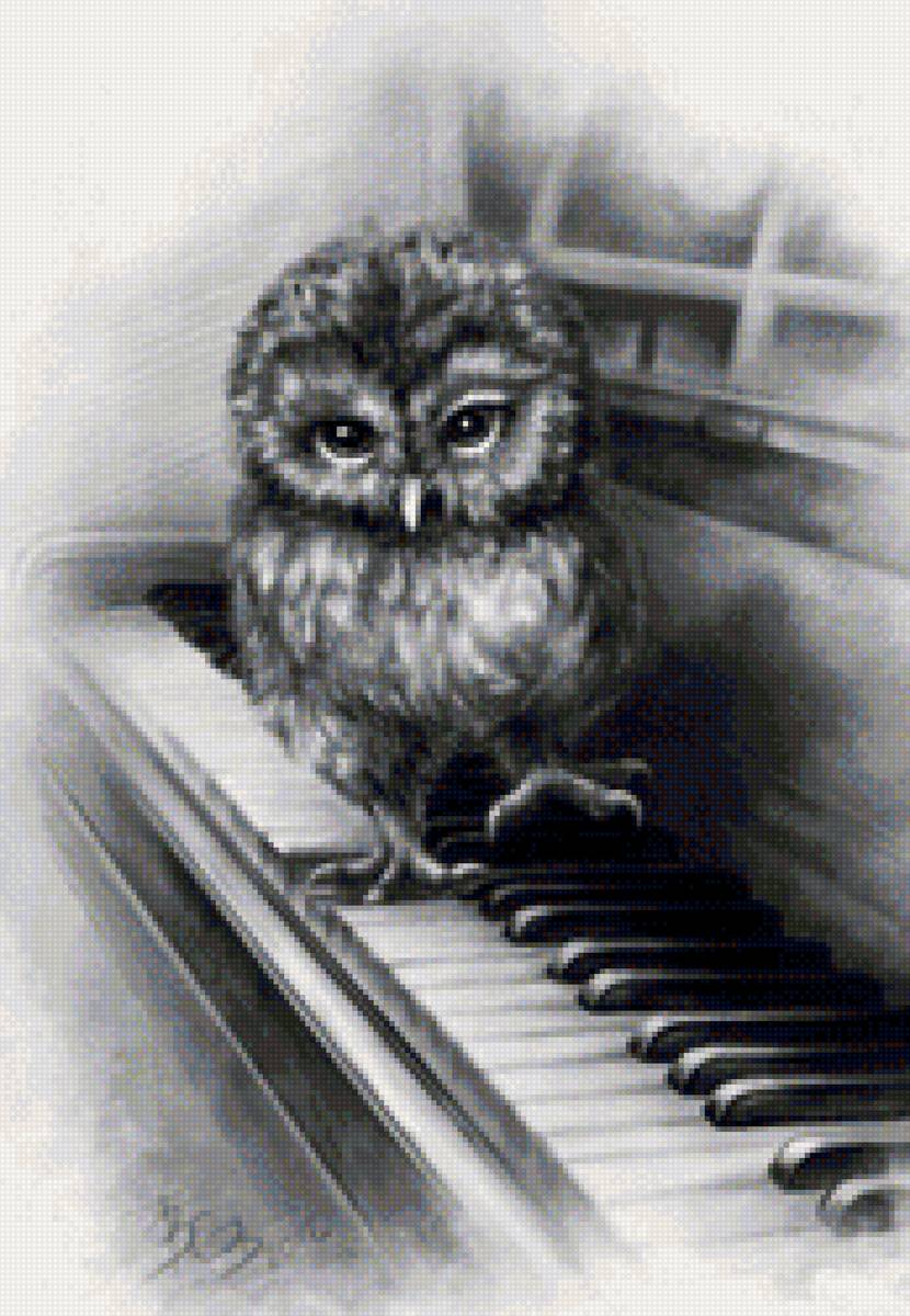 маэстро - птицы, сова, монохром - предпросмотр