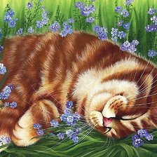 Схема вышивки «кот»