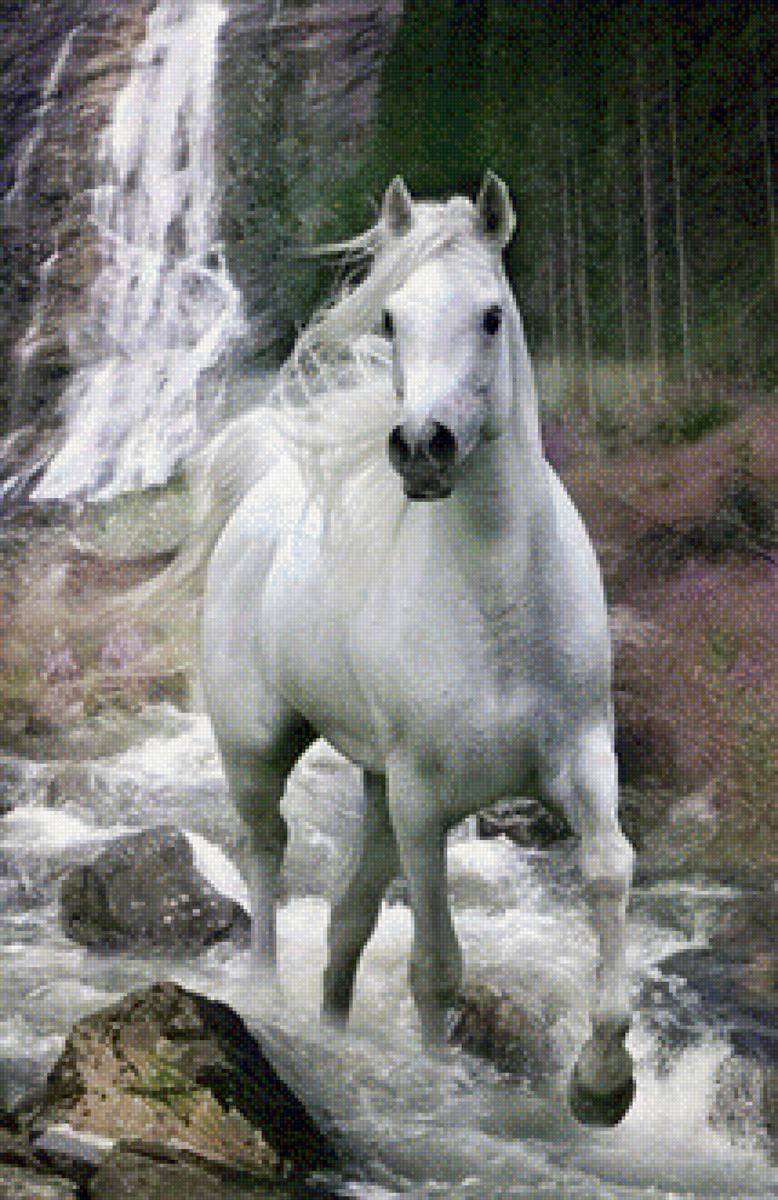 №1811972 - предпросмотр