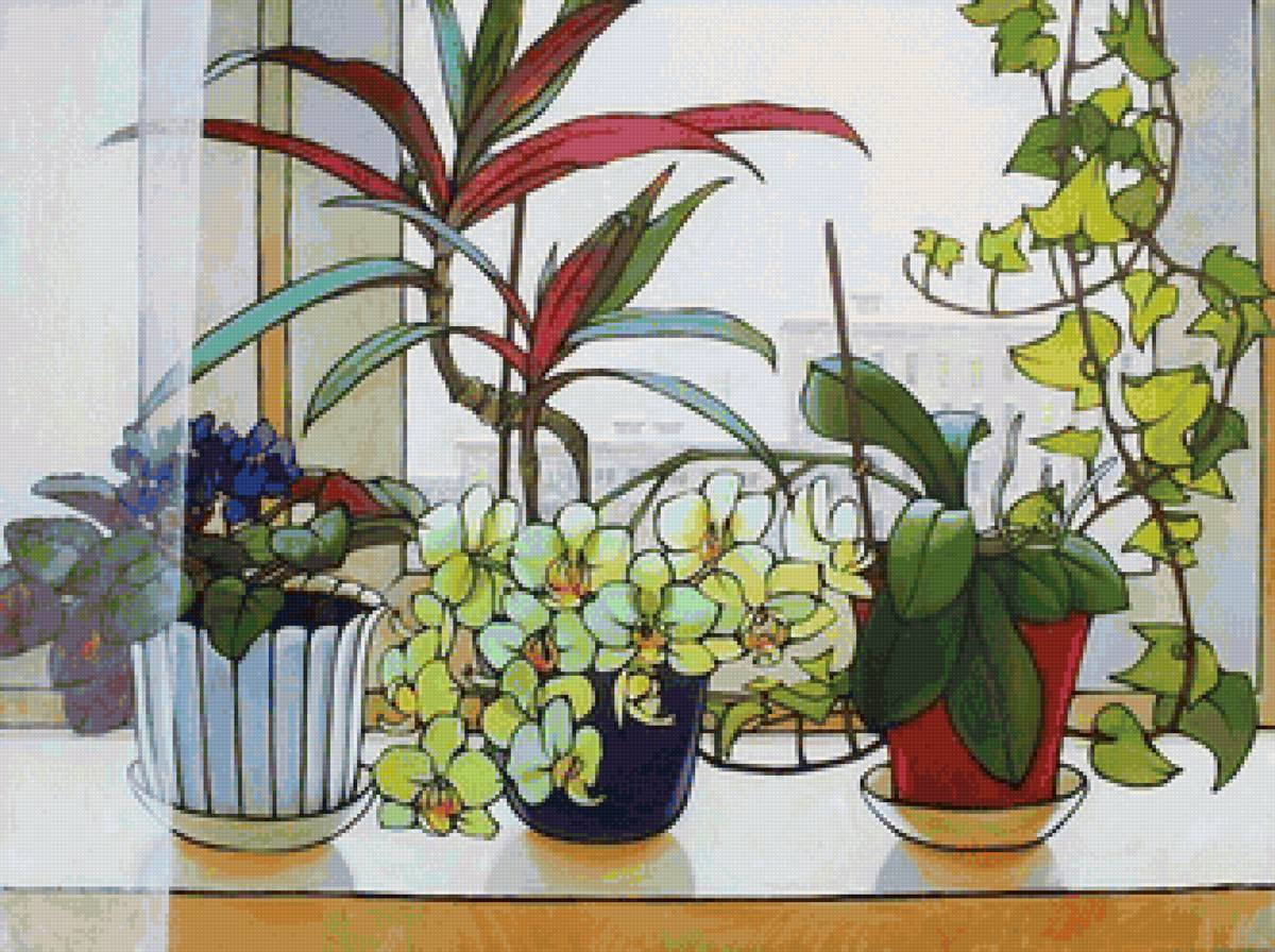 Цветочки на зимнем окошке 2 - зима, цветы, город, окно - предпросмотр