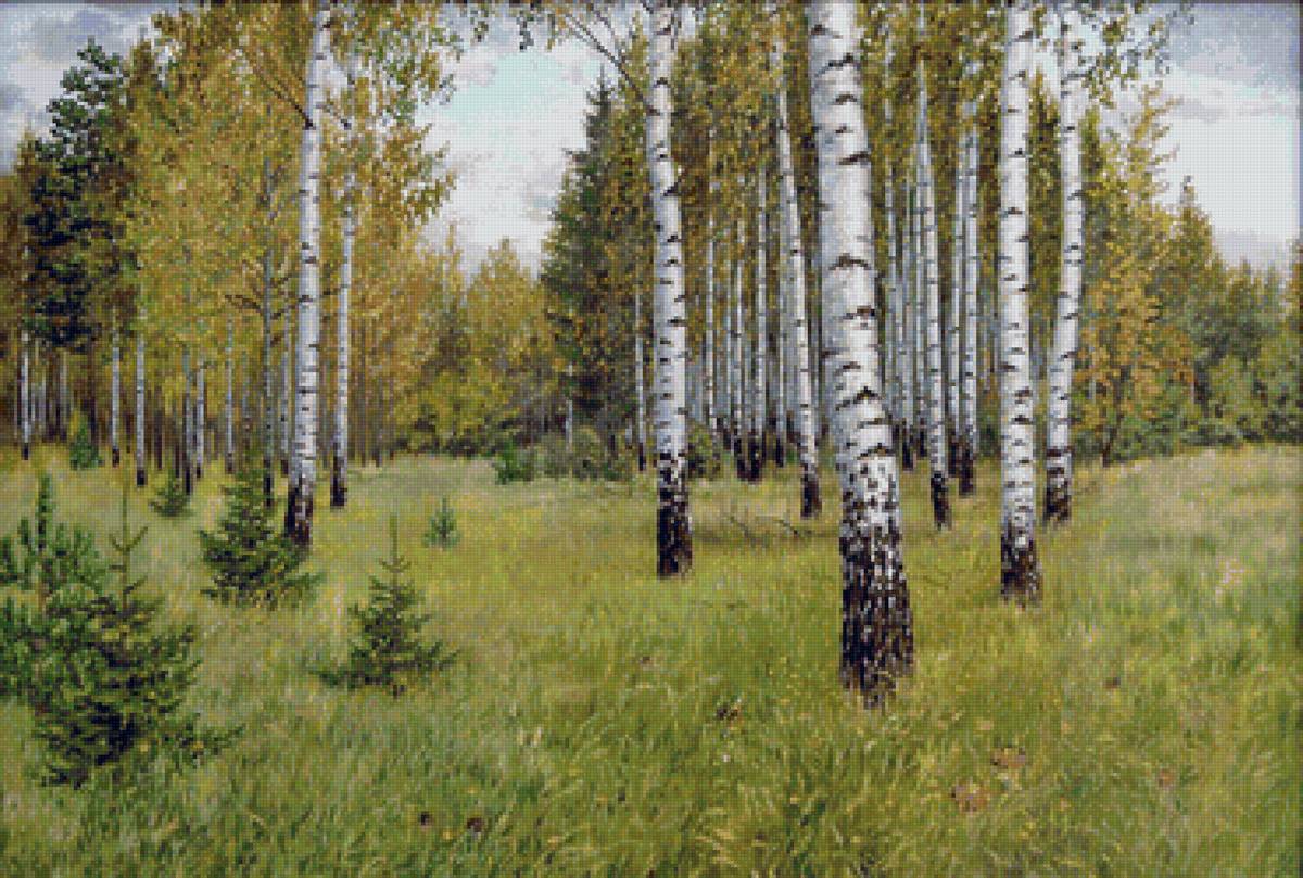 Сентябрь - лес, природа, пейзаж осень - предпросмотр