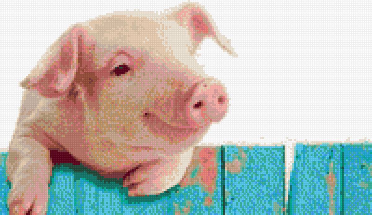 Поросенок на заборе - свинка, поросенок - предпросмотр