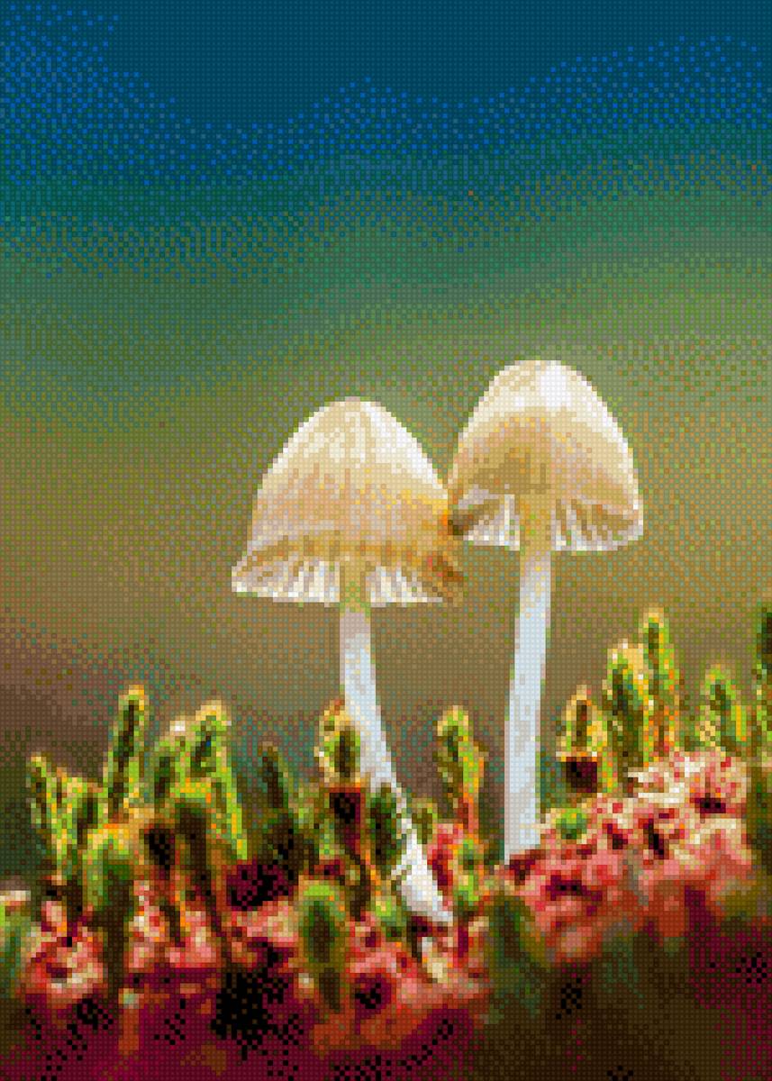 Грибы3 - грибы - предпросмотр