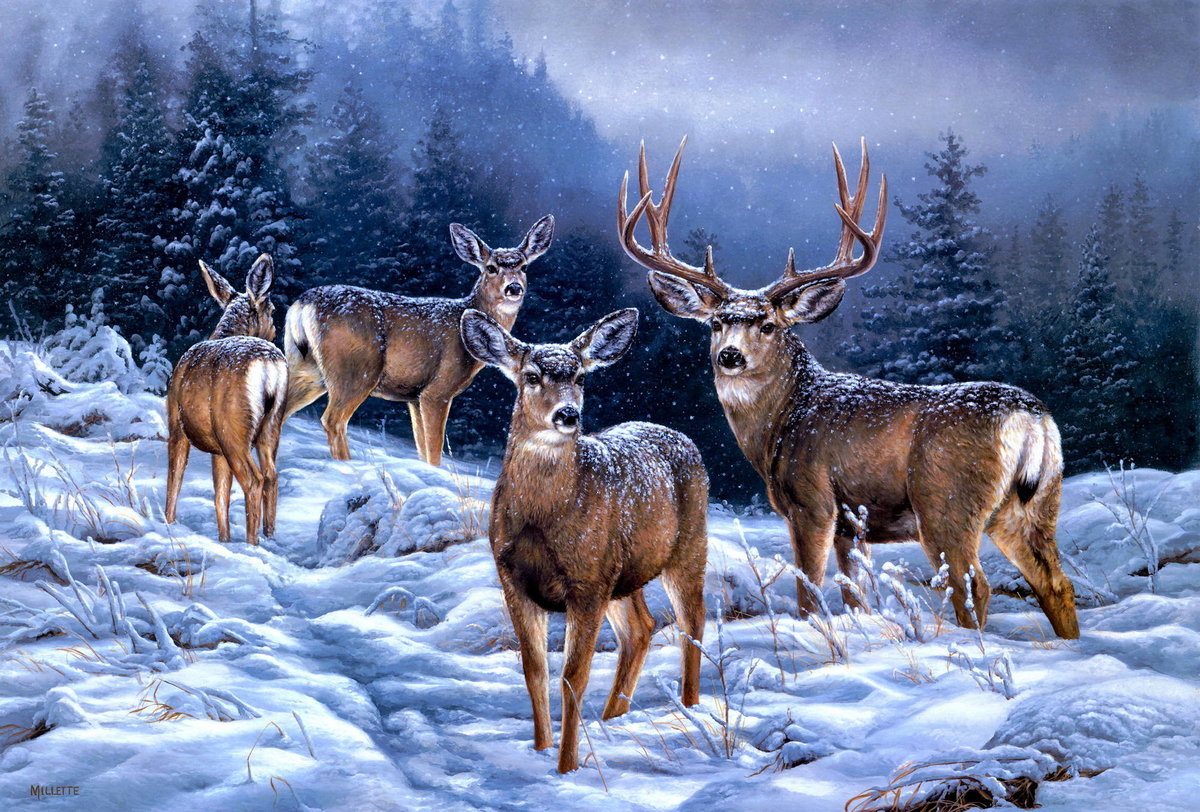 Семья зимой с оленями