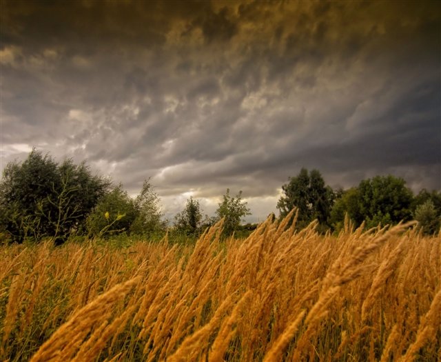 Перед грозой - оригинал